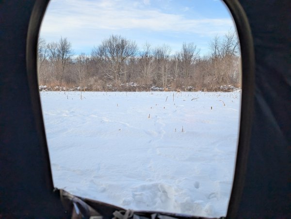 PXL_20251213_211201916.jpg