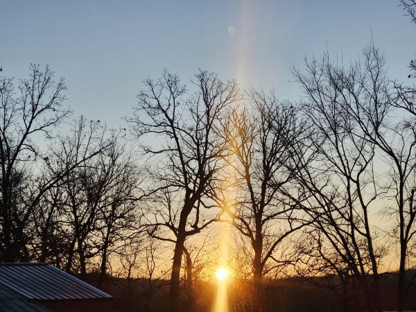 20251215_072801.jpg