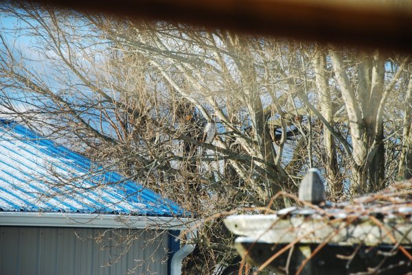 DSC_2085.JPG