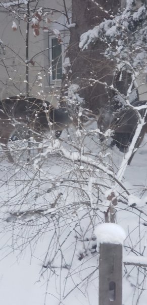 Resized_20251215_075551.jpeg