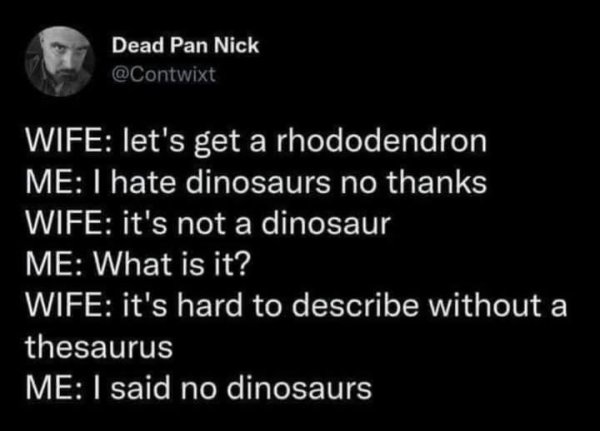 588728502_1443092241149529_2502645093421954607_n.jpg