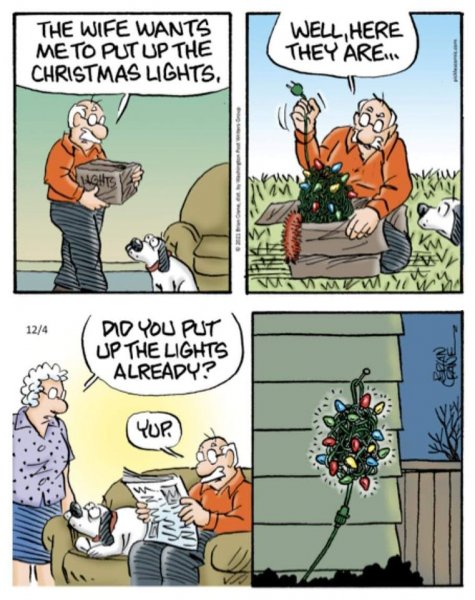 Put up lights.jpg