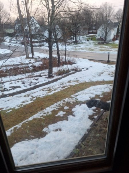 20251219_124744 snow at 345pm.jpg