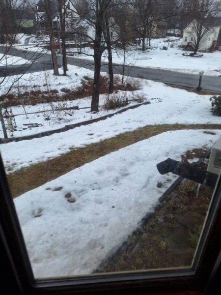 20251219_124744 snow at 1245pm.jpg