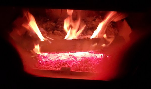 20251220_075300.jpg