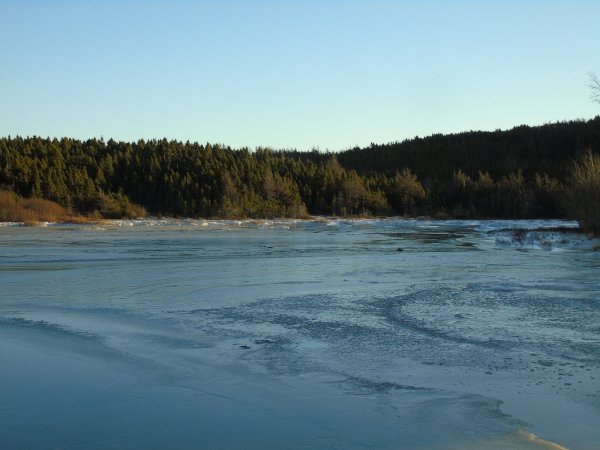 DSC00044.JPG