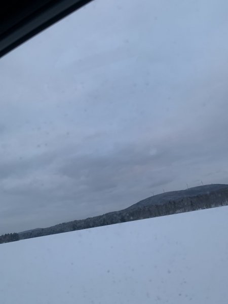 IMG_2710.jpeg