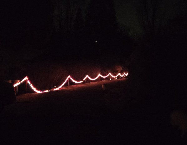 20251224_182116.jpg