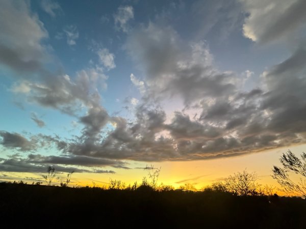 IMG_6813.jpeg