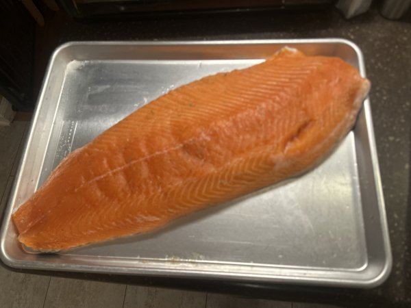 IMG_5018.jpeg