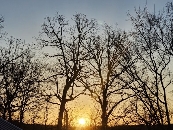 20251229_073532.jpg