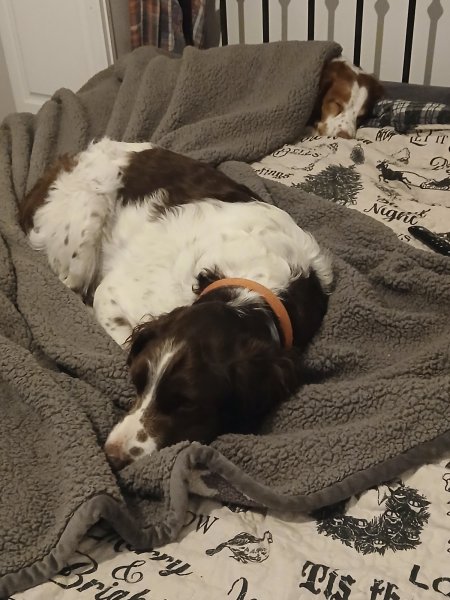 20251230_214750.jpg
