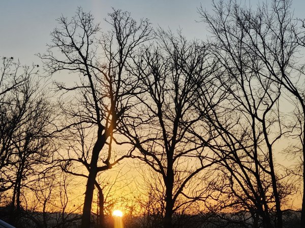 20260105_073354.jpg