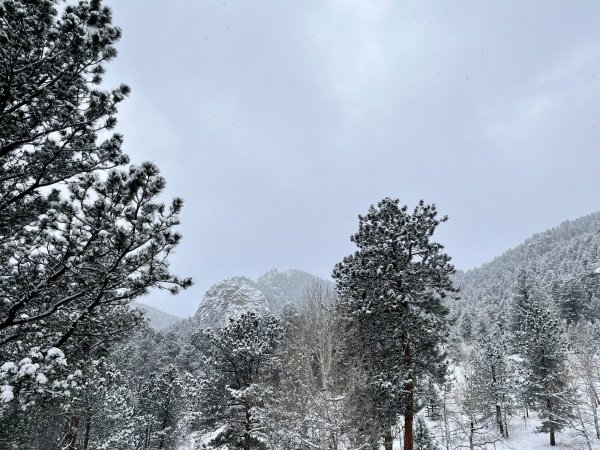 IMG_1572.jpeg