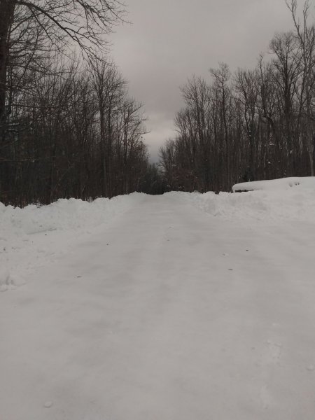 IMG_20260109_122838632.jpg