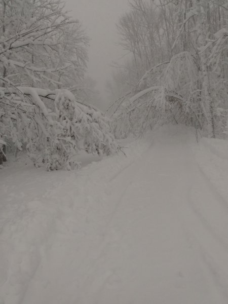 IMG_20251126_113848447.jpg