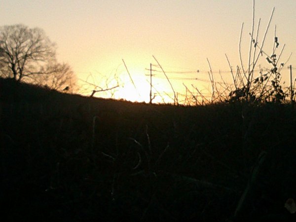 DSCF0522.JPG