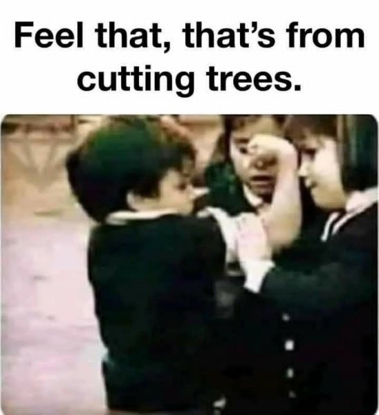 FB_IMG_1768381237195.jpg