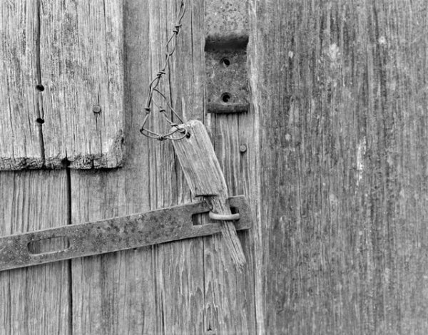 upload_2026-1-18_23-37-38.jpeg