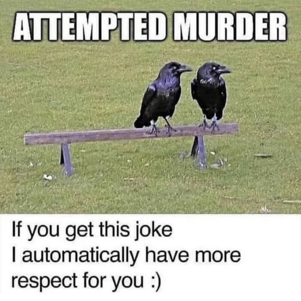 IMG_3390.jpeg