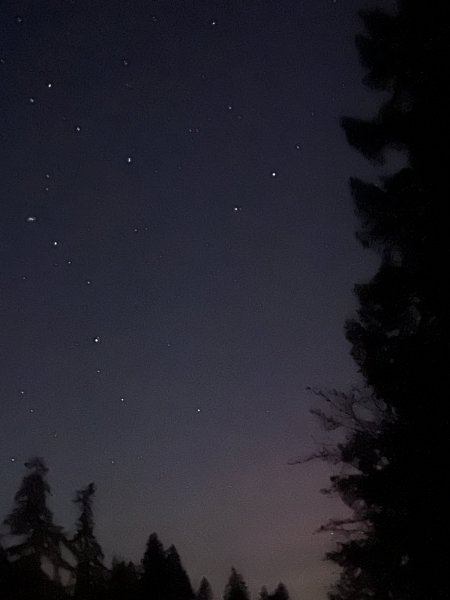 IMG_5504.jpeg