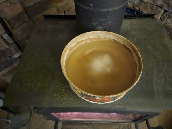 20260121_073137.jpg
