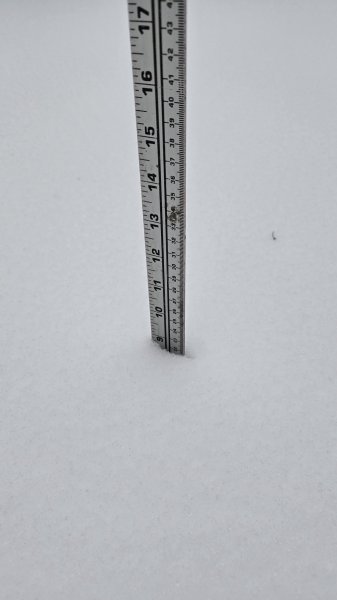 Still snowing.jpg