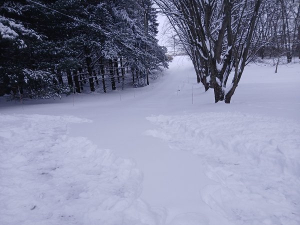 20260125_171726.jpg