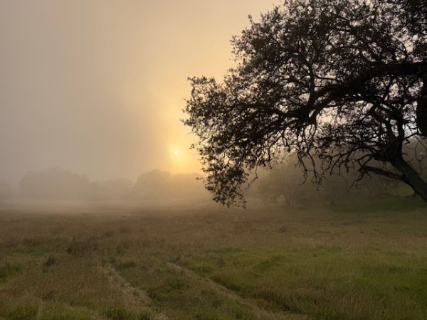 IMG_7275.jpeg