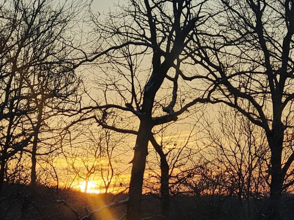 20260126_072830.jpg