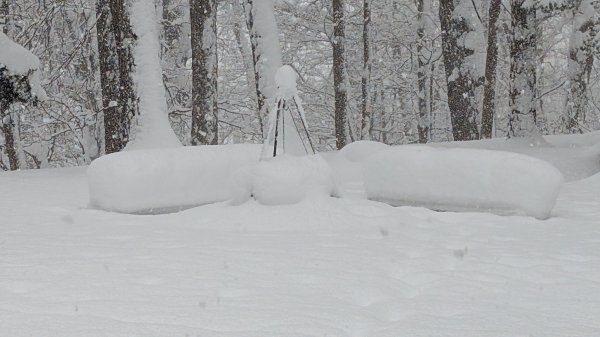 PXL_20260126_133243038.jpg