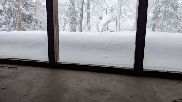 PXL_20260126_134241900.jpg