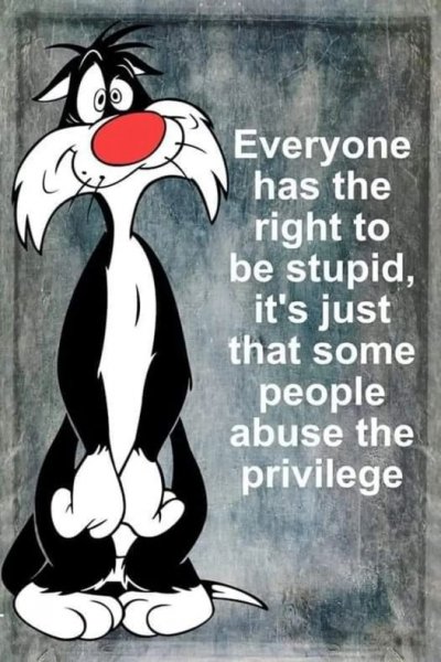 Abusing stupid.jpg