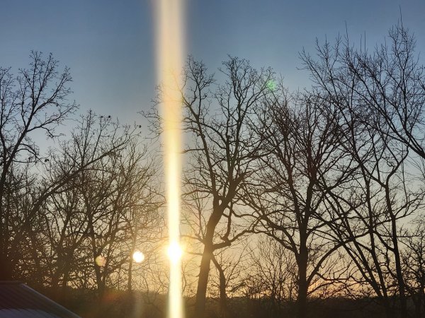 20260131_073716.jpg
