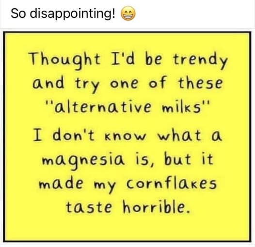 Alternative milk.jpg