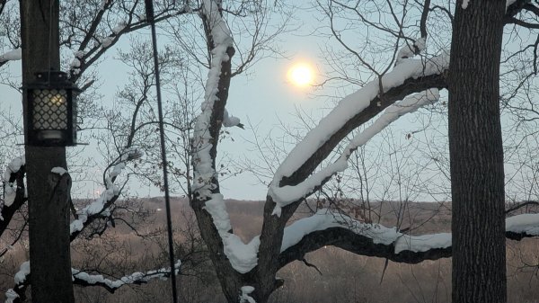 PXL_20260201_232116300.jpg