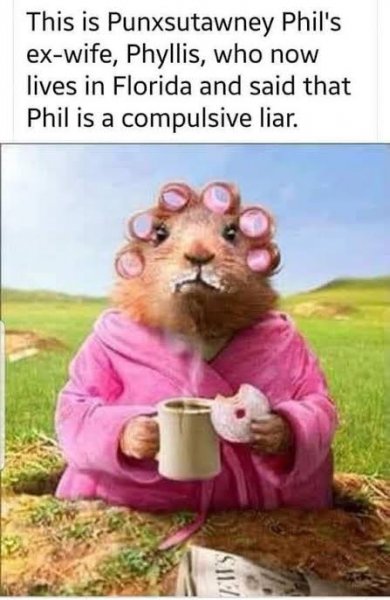 images (5).jpeg