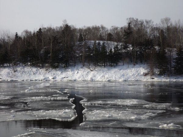 DSCF4178.JPG