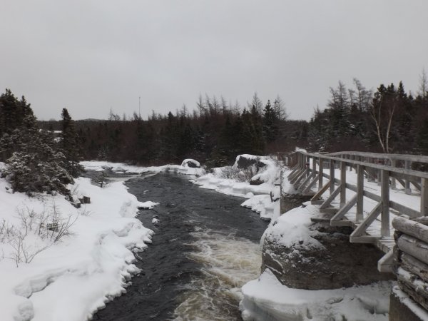 DSCF4231.JPG