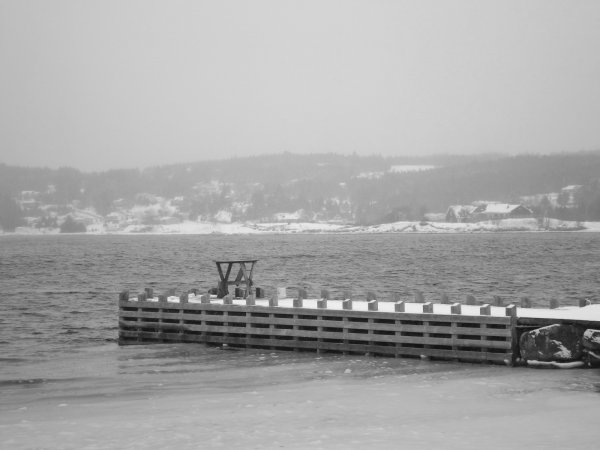 DSCF4232.JPG