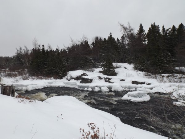 DSCF4229.JPG