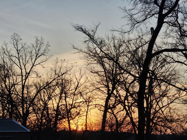 20260213_071430.jpg