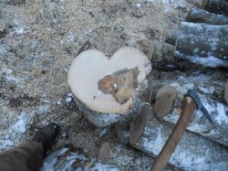 Valentine wood.jpg