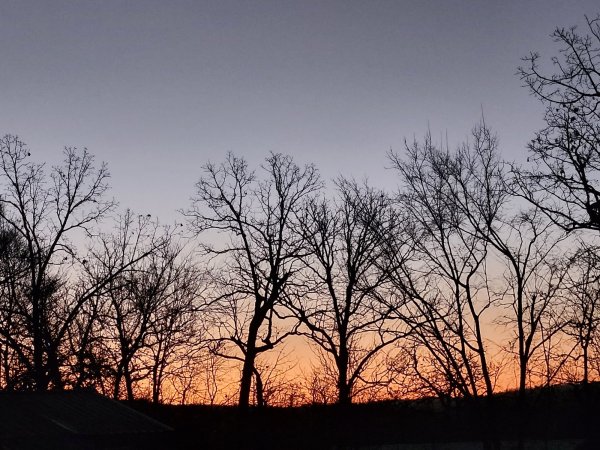 20260216_062706.jpg