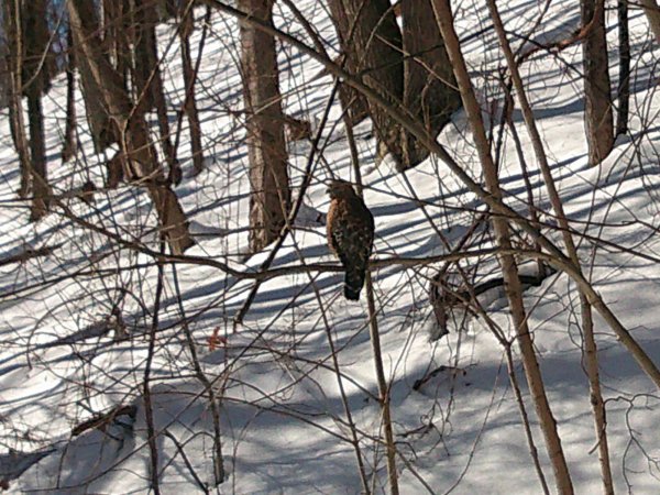 DSCF0615.JPG