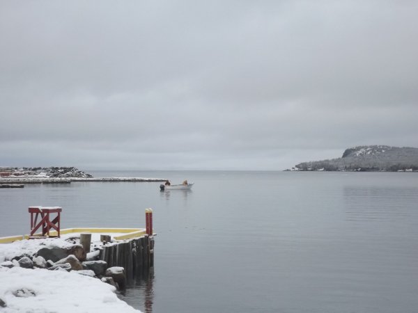 DSCF4274.JPG