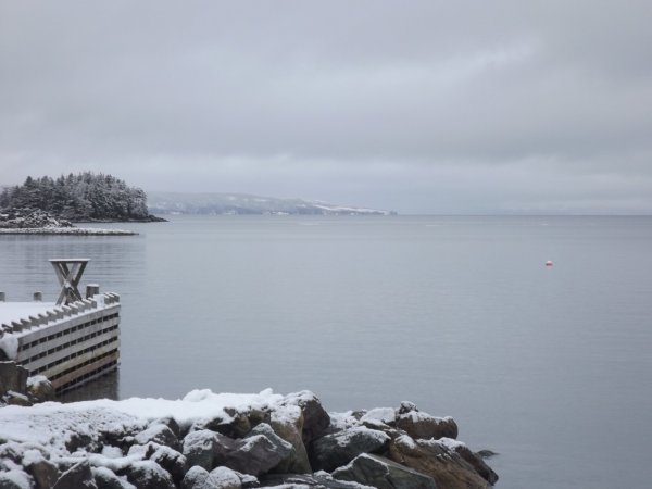 DSCF4271.JPG
