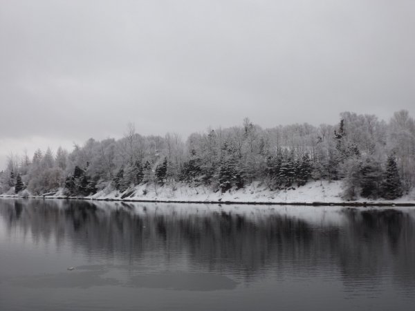 DSCF4261.JPG