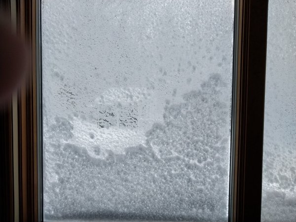 IMG_20260223_093727.jpg