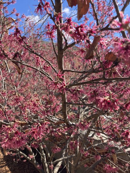 IMG_5404.jpeg